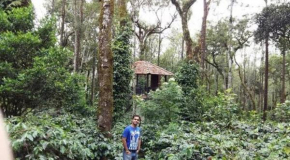 GT COFFEE ESTATE STAY coorg